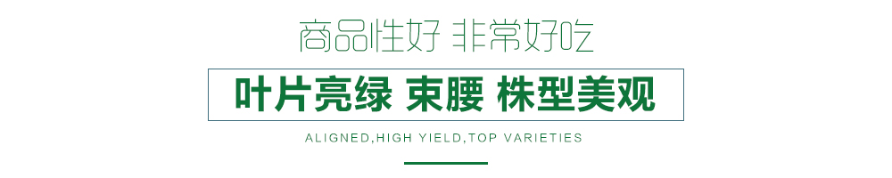 1557804219450654.jpg 詳情頁12.jpg