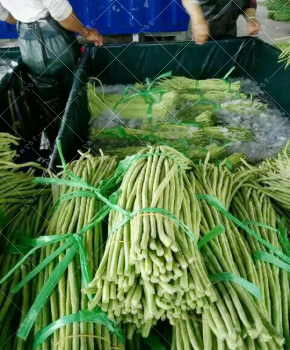 1557906239473675.jpg 164685864860101304.jpg