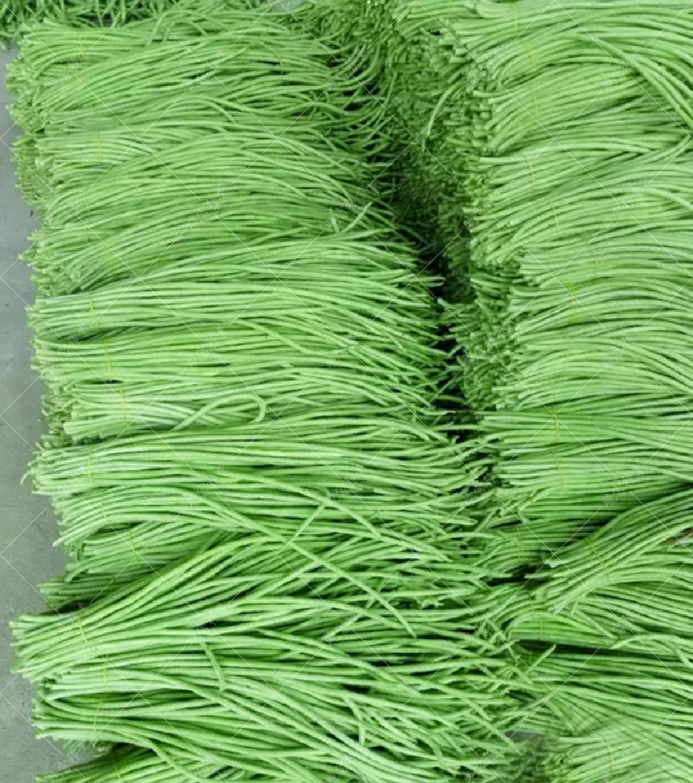 1557978167580475.jpg 19.jpg