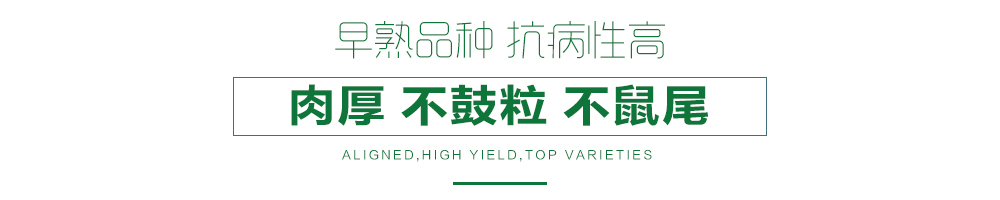 1557986414355463.jpg 詳情頁23.jpg