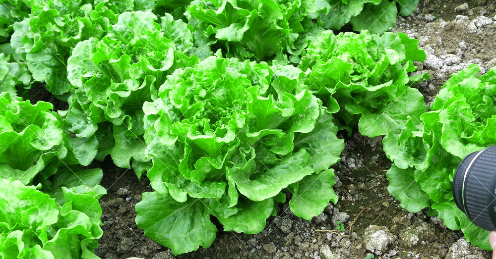 1558575784219841.jpg 42.jpg