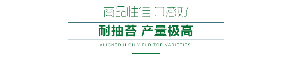 1558577954531393.jpg 詳情頁6.jpg