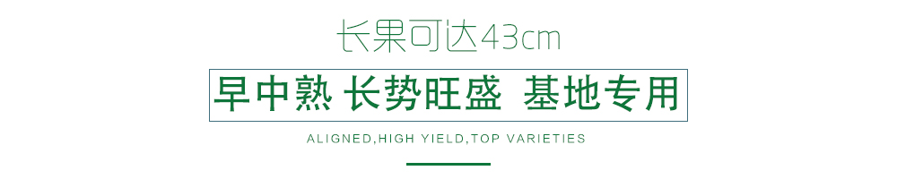 1585790933453787.jpg 03.jpg