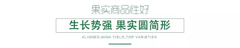 1585993385543718.jpg 07.jpg