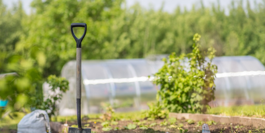 1608457611963312.png image.png