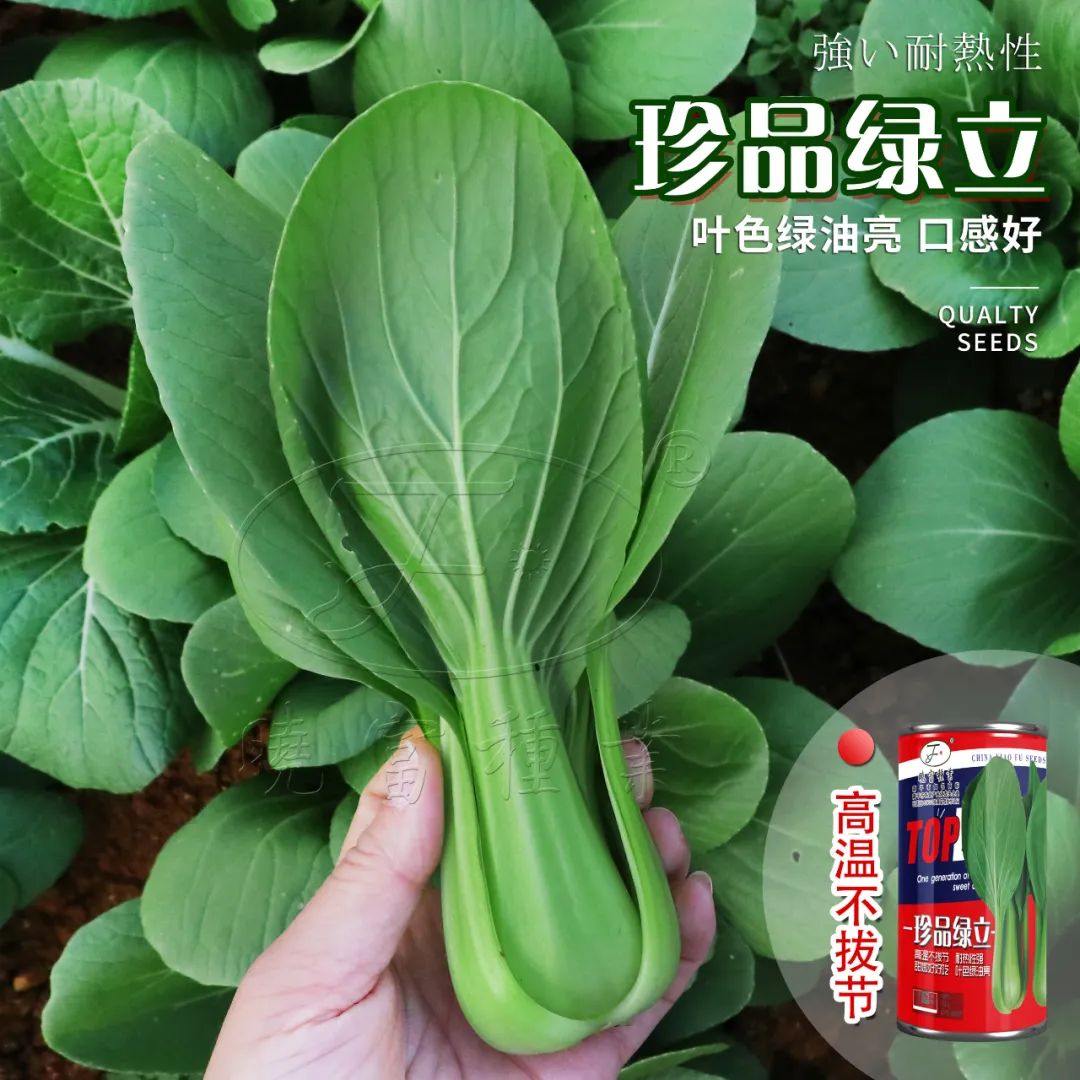 1646190528796000.jpg 05.jpg